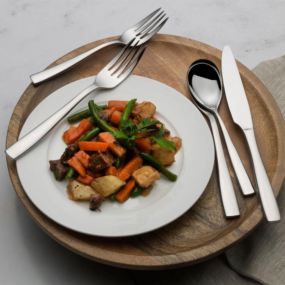 Delano Forged 20 Piece Flatware Set, Service for 4