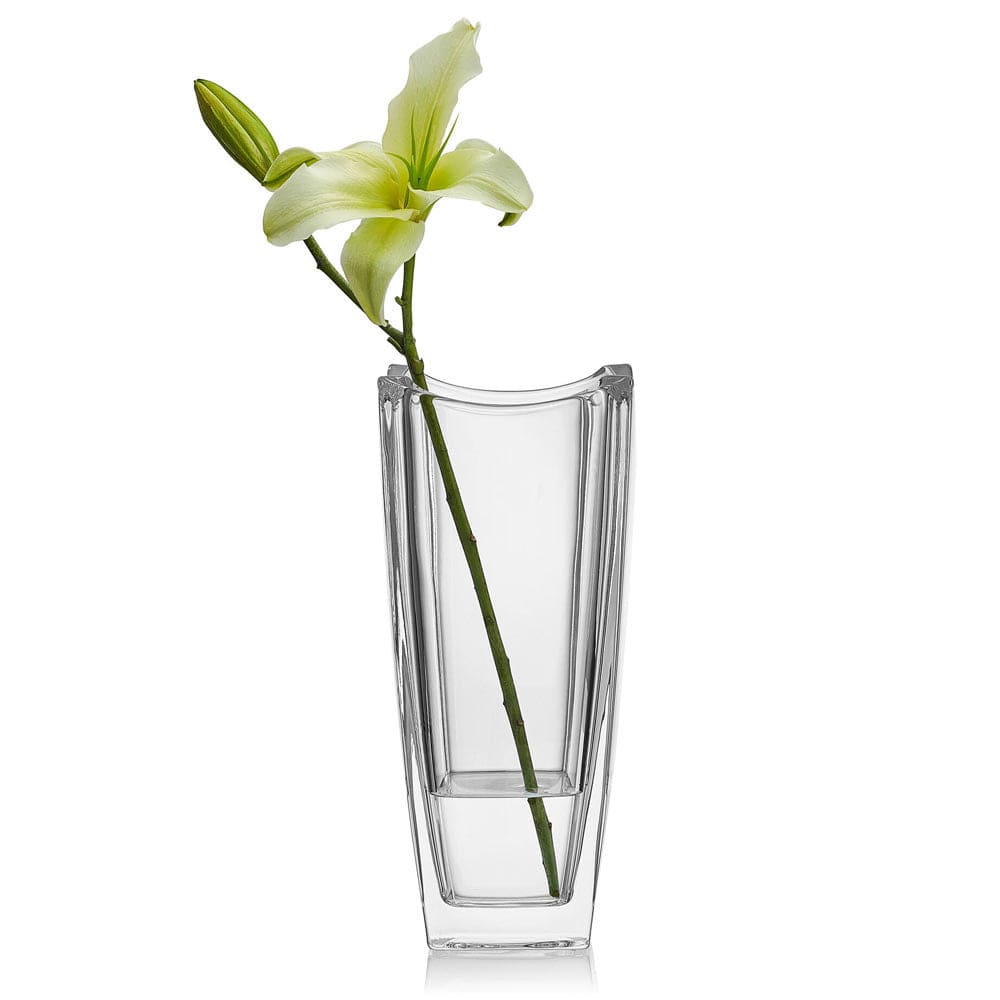 Baron Crystal Vase